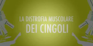 Distrofia muscolare dei cingoli