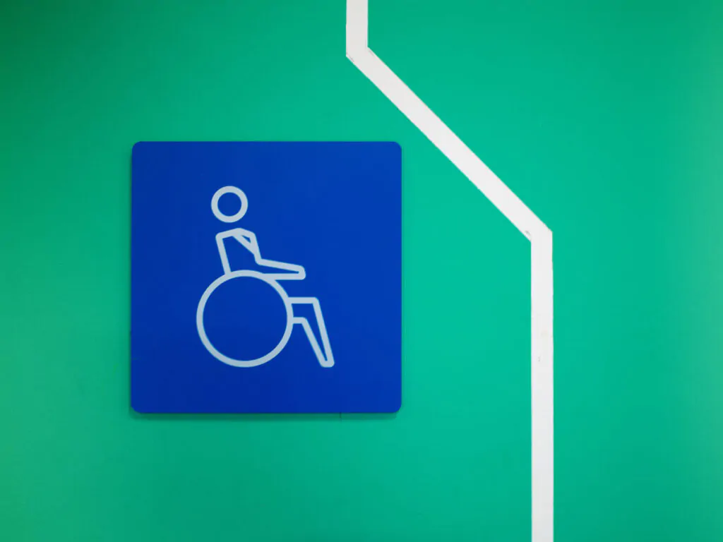 legge delega disabilità