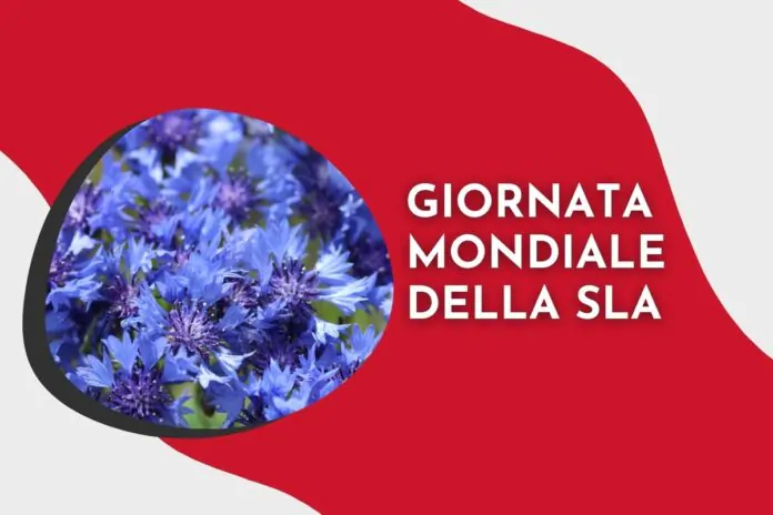 giornata mondiale sla