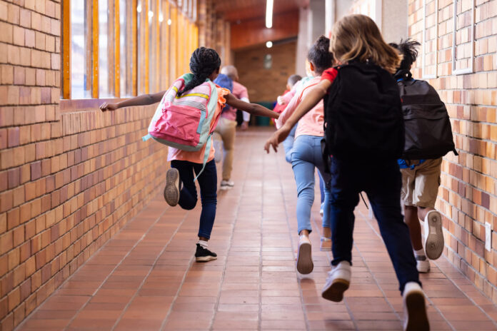 sciopero 15 novembre 2024 scuola università