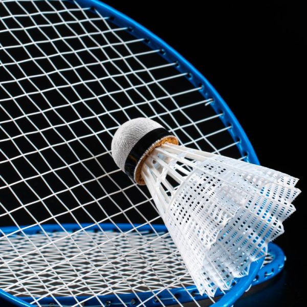 badminton paralimpico